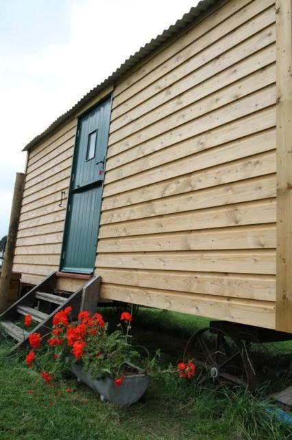Shepherdshuts-Southeast Hotel Ashford  Exterior photo